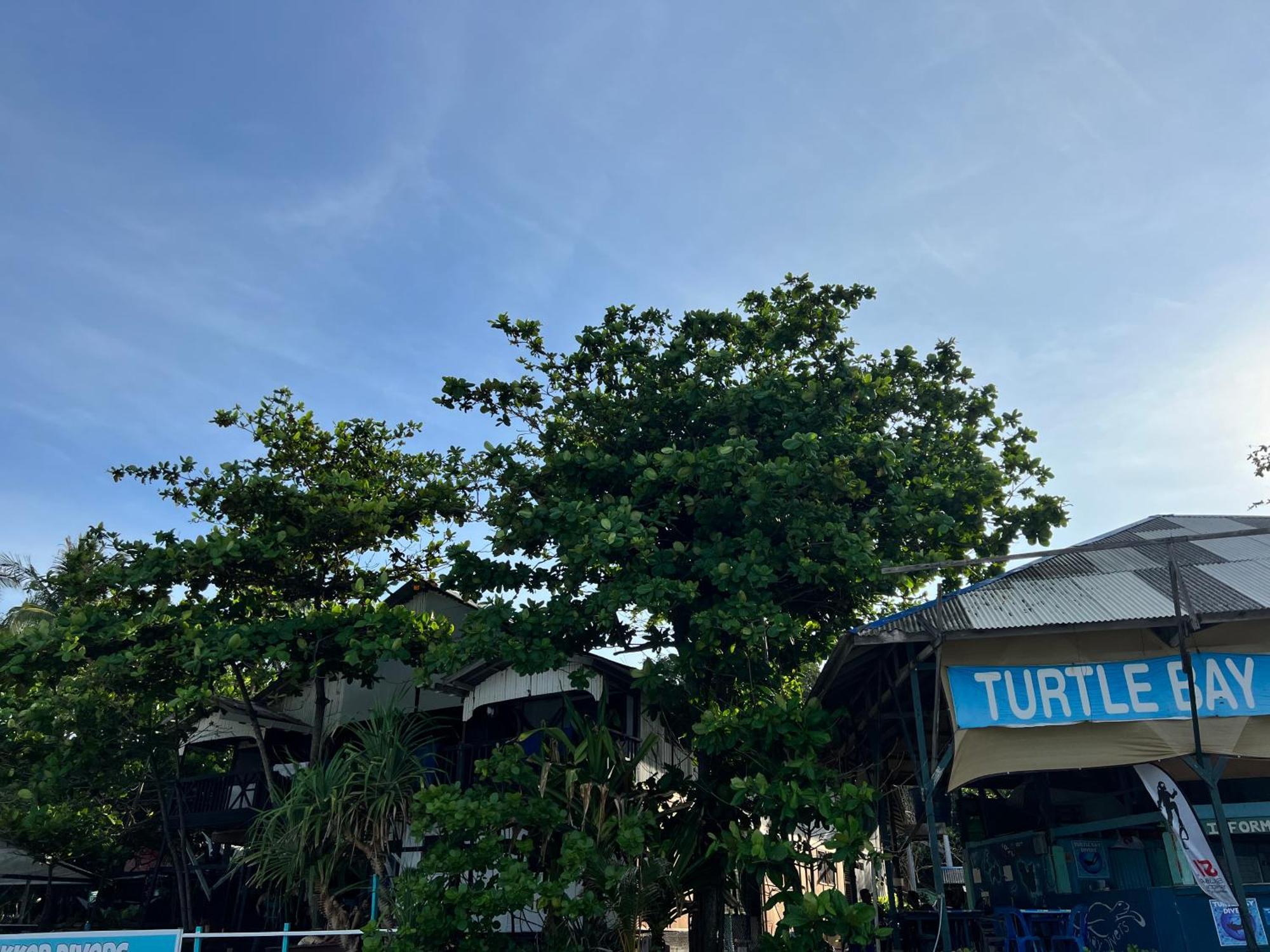 Ohlala Guesthouse Islas Perhentian Exterior foto